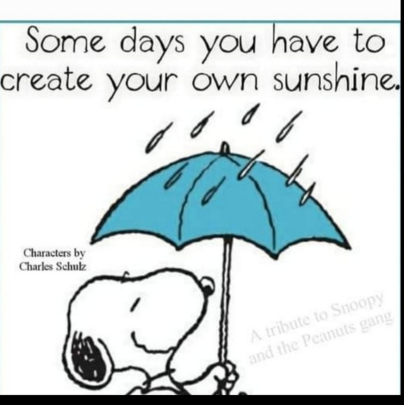 Ladies Earrings purple silver - Picture 13 of 13